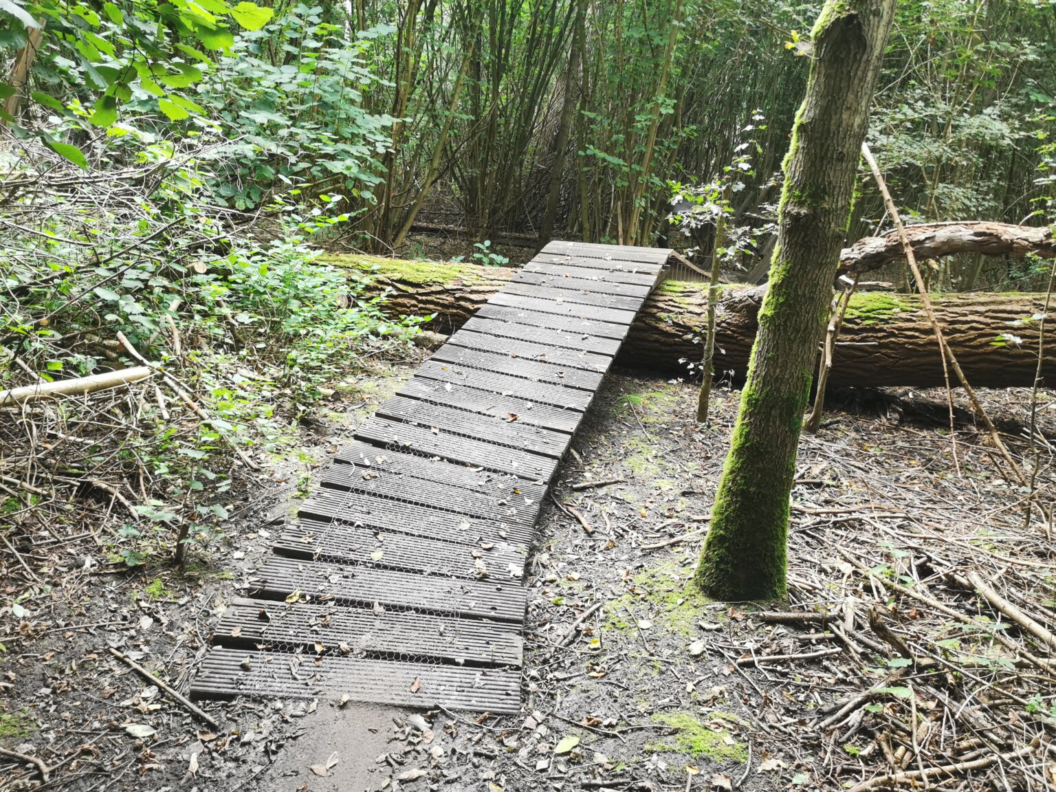 IMG_20210925_104257-1645831932001