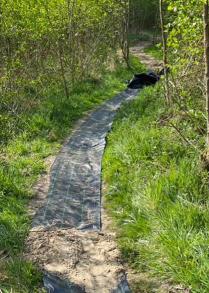 WhatsApp Image 2020-04-18 at 11.55.34