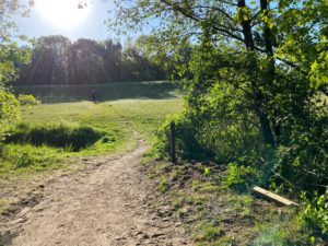 Arjan - Paal vrijgemaakt van bramenstruiken