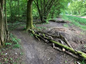 WhatsApp Image 2020-05-03 at 17.28.06 (3)