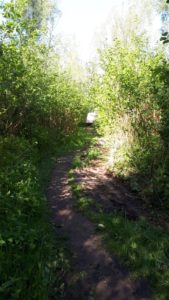 WhatsApp Image 2020-05-07 at 09.22.42