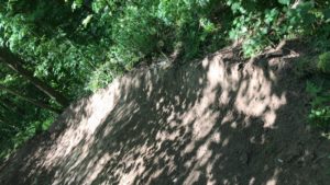 WhatsApp Image 2020-05-09 at 12.40.12